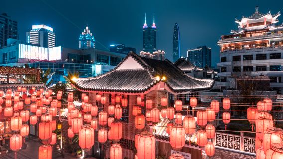 Shenzhen Private Guided Day Tour Luohu Shopping Mall Huaqiang North Street Dongmen Pedestrian Street