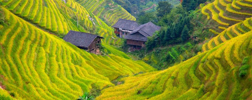 Longji Rice Terraces