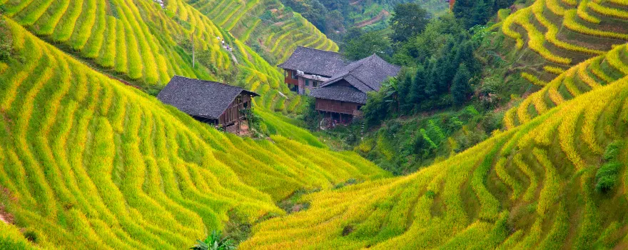 Longji Rice Terraces