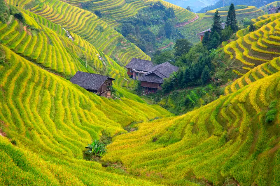 1_Longji Rice Terraces