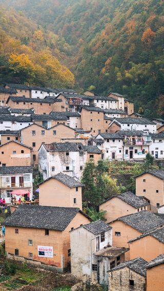 Huangshan Cheng Kan + Mud House of Yangchan + Tunxi Old Street 1-day tour with Chinese and English services (admission ticket not included)