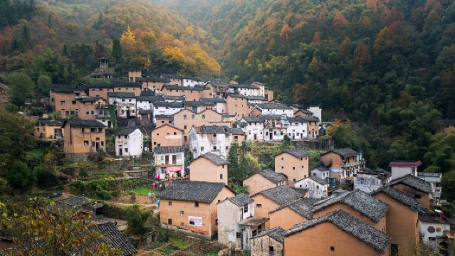 1-day tour to Cheng Kan + Mud House of Yangchan + Tunxi Old Street + Xixinan in Huangshan, Anhui with bilingual service (Chinese & English)
