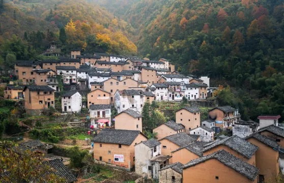 安徽黃山呈坎+陽產土樓+屯溪老街+西溪南一日遊中英文服務