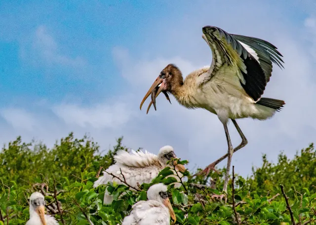 A Tour of Palm Beach County: Boca Raton, Delray Beach, and Boynton Beach