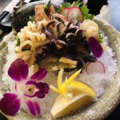 Komakata Dojo User Photo