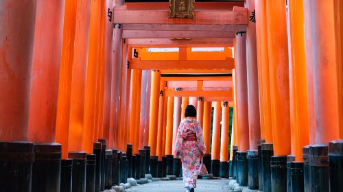 Fushimi Inari Taisha Senbon Torii (Thousands Torii Gate)