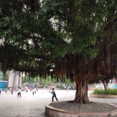添宝粿条店永安小吃 User Photo