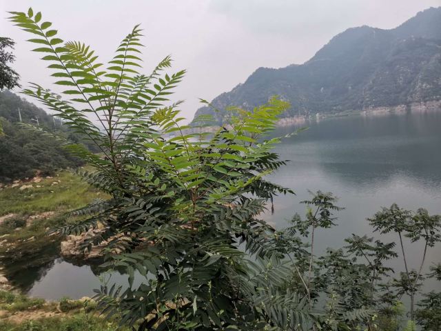 Huangsongyu Reservoir