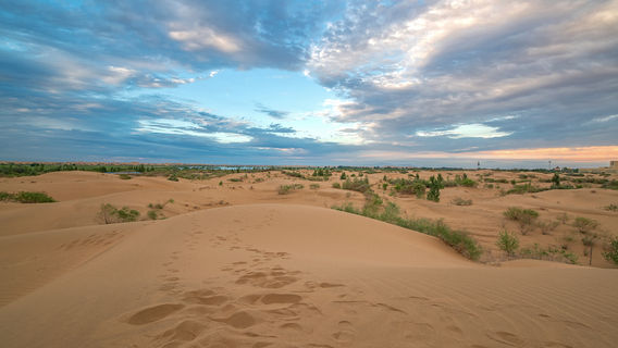 Kubuqi Shamo Wo Kuotai Sceneic Area
