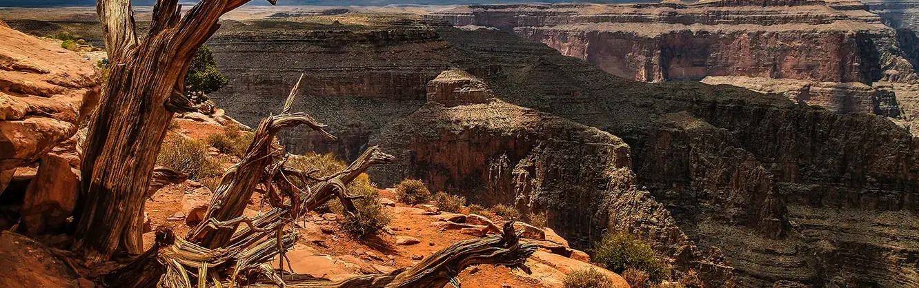 Fall Viewing Attractions