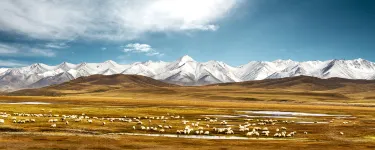 Qilian