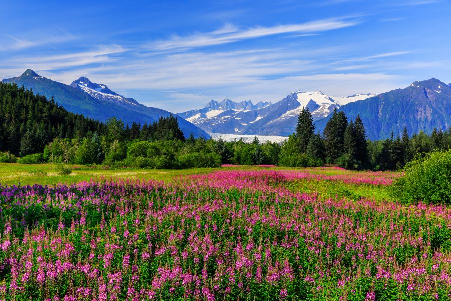 Manistee to Juneau Flights