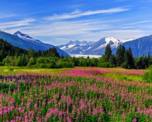 香港-朱諾 機票酒店 自由行