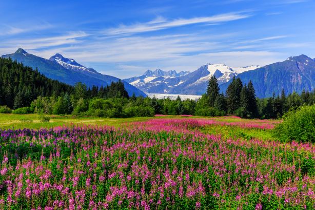 juneau