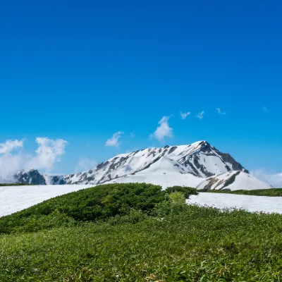 Brussels Airlines Flights to Toyama