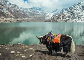 Các khách sạn ở Gangtok