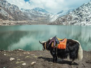 Voli diretti per Gangtok