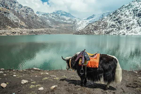 Hôtels à : Gangtok