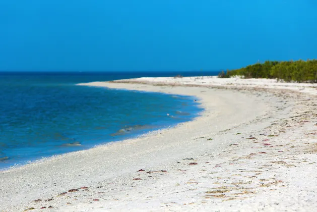 Отзывы об отеле One&Only le Saint Geran