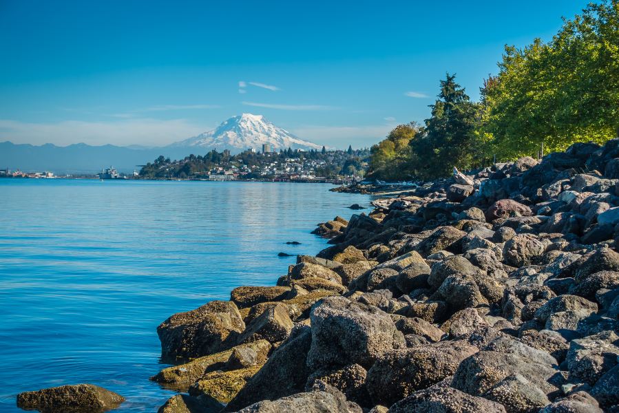 Las Vegas to Tacoma Flights