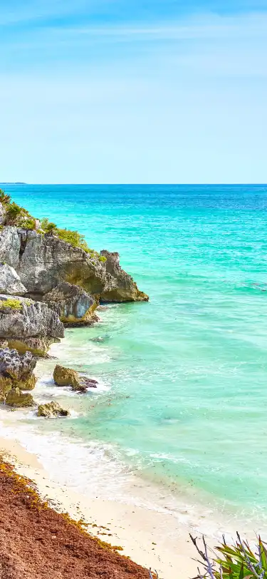 在墨西哥金塔納羅奧州，設有Wi-Fi的飯店