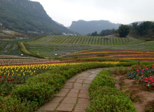 Qingxi Valley Tourist Area • Huatian Wineland Scenic Area