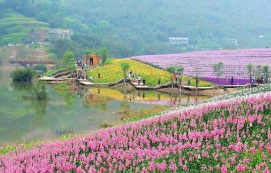 Qingxi Valley Tourist Area • Huatian Wineland Scenic Area