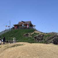 【遊走日本東北】黑尾鷗嘅棲息地，親親海的蕪島神社