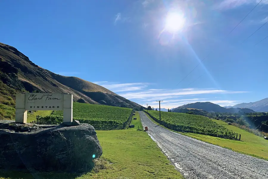 Chard Farm Vineyard