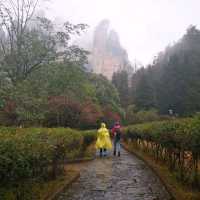 Winter Wonderland in Zhangjiajie