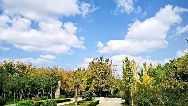 Weifang Botanical Garden