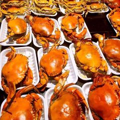 Pudong City Bistro User Photo