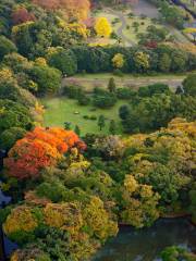 新小岩公園