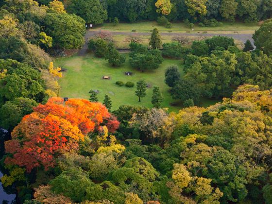 新小岩公園