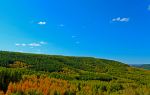 Hebei Saihanba National Forest Park Dahuanqi Management Area