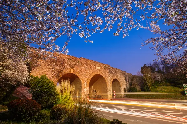 Copa Airlines Flights to Nanjing