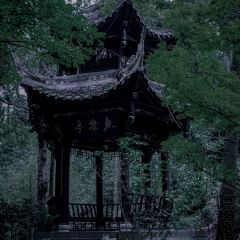 无漏秋山(素食餐厅) User Photo
