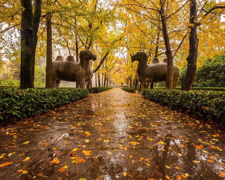The Ming Tomb
