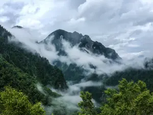 Rhododendron Hill (Bijia Hill)