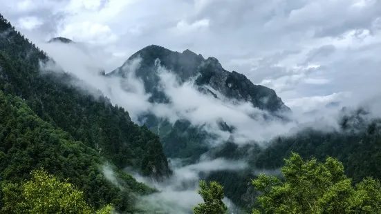 Rhododendron Hill (Bijia Hill)