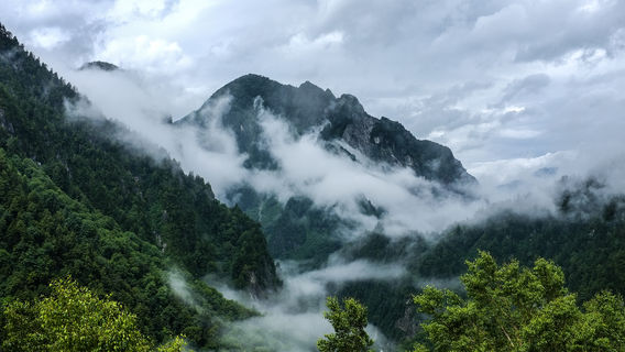 Jinggangshan