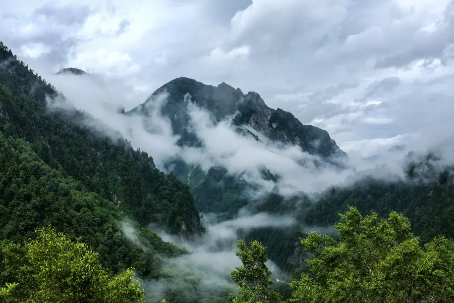 杜鵑山（筆架山）