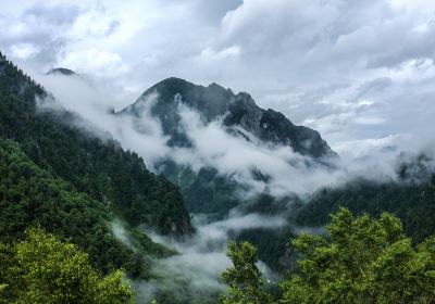 Rhododendron Hill (Bijia Hill)