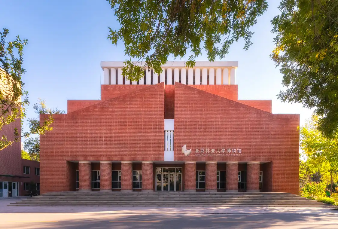 Hotels near Beijinglinye University Museum