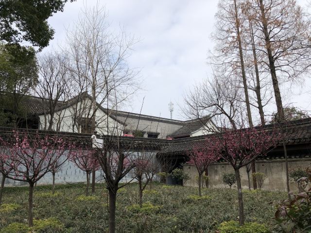 치위안 관광지구