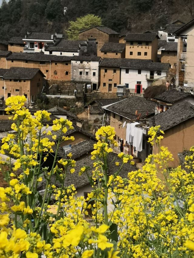 陽產土樓