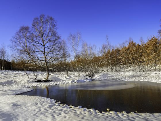 Bailanghe Wetland Park （Southeast Gate）