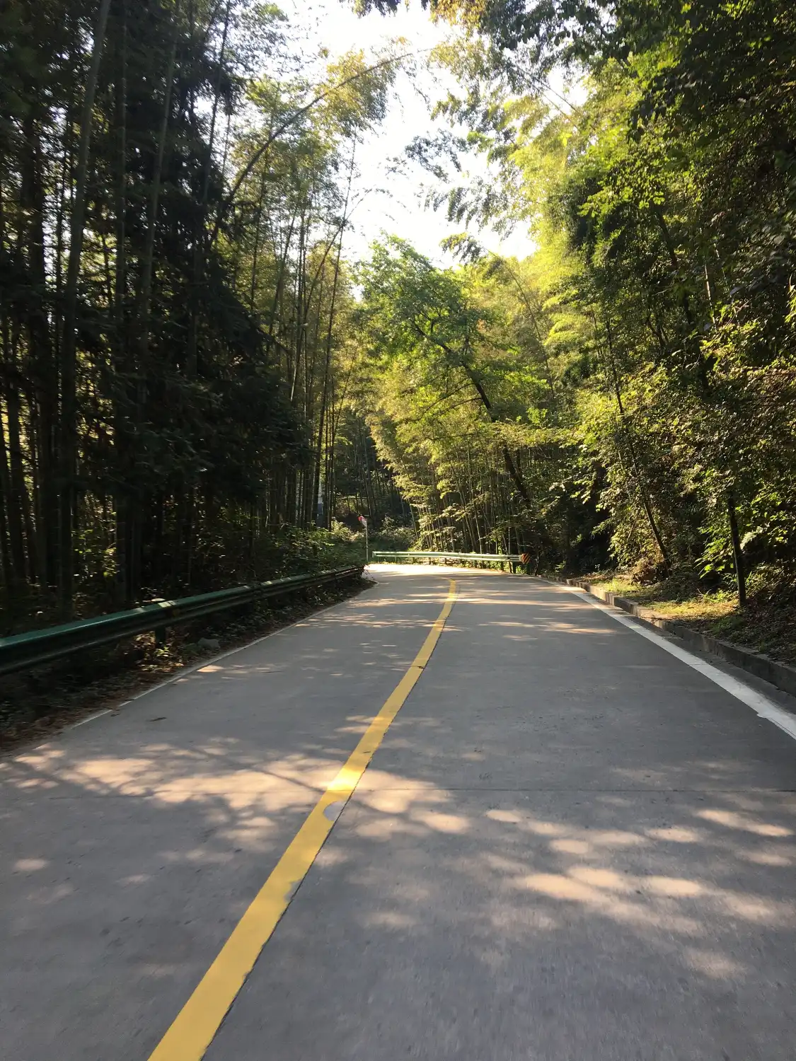 Hotels near Zhongyang Forest Park