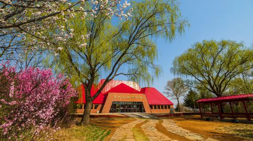 Chahai Yizhi Museum