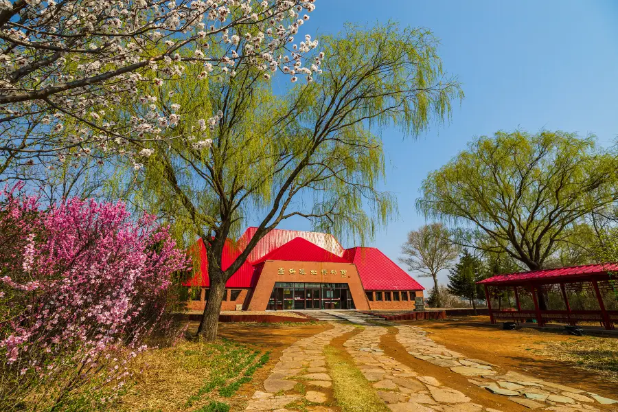 Chahai Yizhi Museum